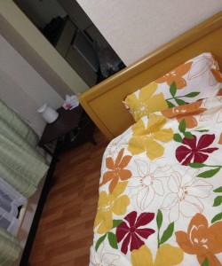 Osaka! Nara, Kyoto, access good! 4F