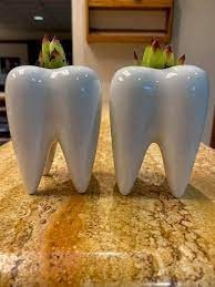 Dahlke Orthodontics- washington states- tooth