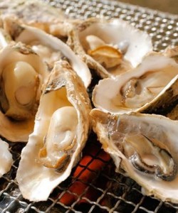 42202ba2212068411001