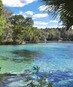 St John River Florida
