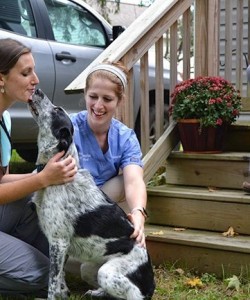 Waterword Animal Clinic in New London, Connecticut