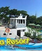 saniya rsort