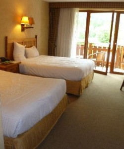 Edelweiss Lodge and Resort