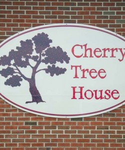 cherry-tree-house001