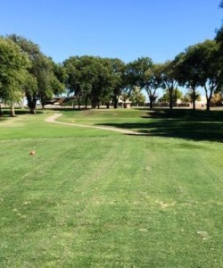 Whispering Winds Golf Course-Cannon AFB-grass