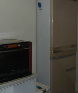 Welcome guests with a small dog,cat