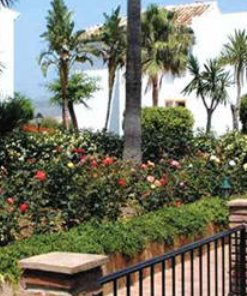 Miraflores Rancho Club