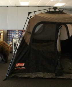 Beale Outdoor Center