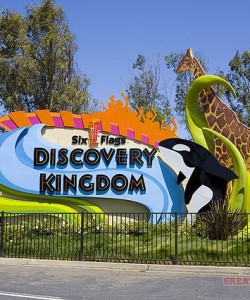 Six Flags Discovery Kingdom- Travis AFB- giraffe.jpggn