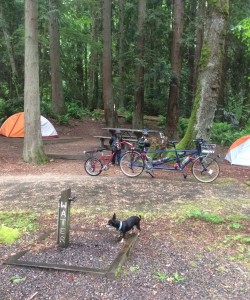 Illahee Park Biking Area in Bremerton Washington
