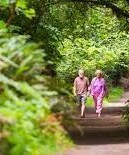 Oak Tree Park in Tacoma, Washington State
