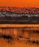 San Pablo Bay National Wildlife Refuge- Travis AFB- sunset