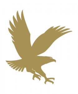 Embry-Riddle Aeronautical University Logo in Colorado, Colorado Springs