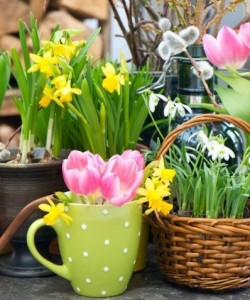 Flowershop in Silverdale, Washington