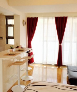 3 Dotonbori Riverside Apartment