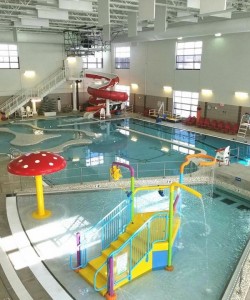 Polar Paradise Pool