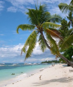 Panglao Island