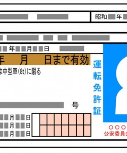 License sample at Atsugi, Japan