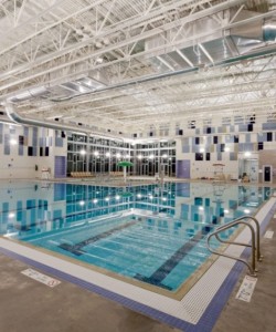 Ivy Pool in Colorado, Colorado Springs