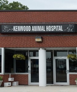 Kenwood Animal Hospital Inc bethesda-location