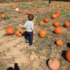 Braeutigam Orchards Scott AFB- child