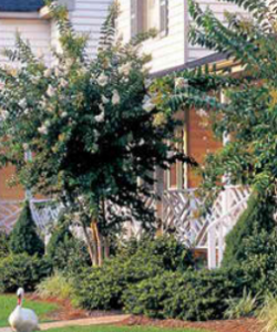 The Historic Powhatan Resort