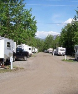 Black Spruce Campground
