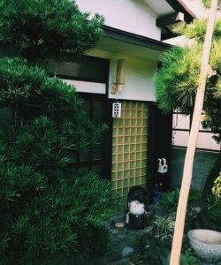 Room at Japanese traditional house (near beach!