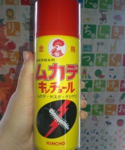 531340_3820735960630_758692706_n