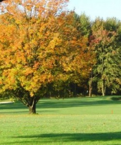 rugggles golf cours - 1