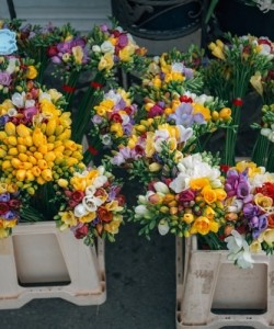 flowershop