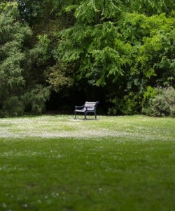 HERITAGE PARK- NAS NORTH ISLAND bench