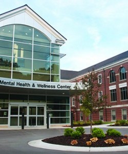 BATTLE CREEK VA MEDICAL CENTER-BATTLE CREEK ANGB mental