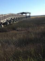 TILDEN NORRIS MARSH WALK &amp; PAVILION- walk
