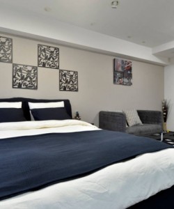 Yokohama ,New!1 mins to Chinatown.