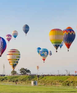 saga international baloon festival