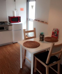 Easy to go to USJ,Namba,Shinsaibashi Room.502