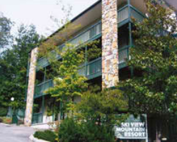 Ski View Mountain Resort