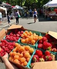 Lake City Farmers Market Wa-raspberry