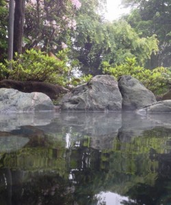 Private hot-spring house in Hakone