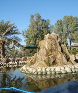Al Areen Wildlife in Bahrain