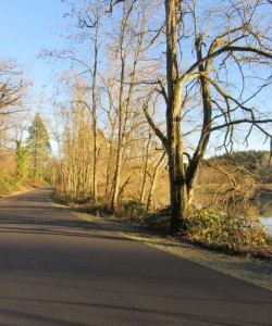 Fort Steilacoom Park lakewood- trail