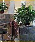 Image Salon &amp; Day Spa Yuba- Beale AFB- chairs