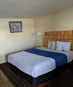 Travelodge by Wyndham Clovis-blue covers