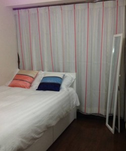 S101FreePocketWi-Fi25MinToShinjuku