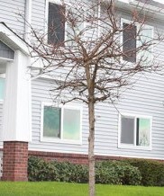 PPV Housing-2 in Everett, Washington