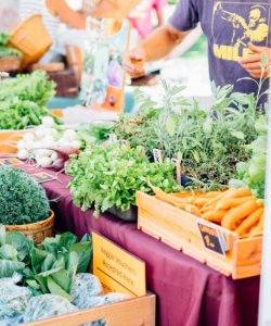 Cashmere Community Farmers Market-vegetable