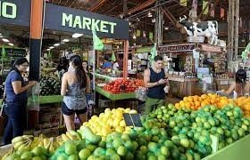 Yellow Green Farmers Market-banna