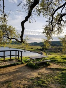 Peña Adobe Regional Park Travis AFB- bench