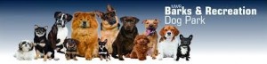 Dog Park - NSB Kings Bay poster